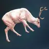 Aidan Farmer - @aidanfarmer4 - TikTok