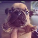 Aidan Farmer - @unbornchildperson - Instagram