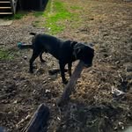 Aidan Farmer - @a_._p_._f - Instagram