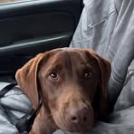 Aiden Farmer - Facebook