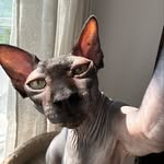 Aidan Farrell - @aidanf20 - Instagram