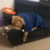 Aidan Fleming - @aidan.fleming5 - TikTok