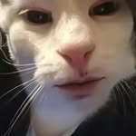 aidn - @aidan_fleming__ - Instagram