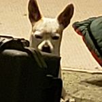 Aidan Forsyth - @aidanforsyth03 - Instagram