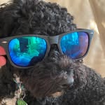 Aidan goodwin - @aidang324 - Instagram