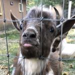 Aidan Hartman - @aidanhartman18 - Instagram