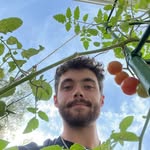 Aidan Healy - @gardenwithaidan - Instagram