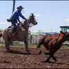 Aidan Healy - @ahealy307 - TikTok