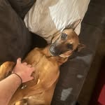 Aidan Hendricks - @aidan_h15 - Instagram