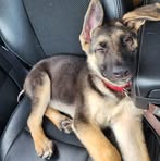 Aidan Hoffman - Facebook