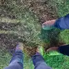 Aidan and trinity - @aidan_horn - TikTok