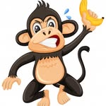Aidan Hudson - @aidanthe_monky - Instagram