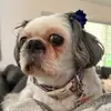 aidan jackson - @aidan.jackson43 - TikTok