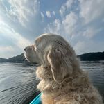 Aidan Johnston - @aidanjohnston99 - Instagram