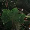 Aydan kaplan - @aydan.kaplan - TikTok
