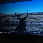 Aidan Koch - @aidankoch4 - Instagram