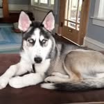 Aidan Koch - @zanek390 - Instagram