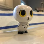 Aidan Koch - @pageturningrituals - Instagram