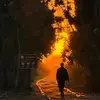 Aidan Koch - @aidan.koch11 - TikTok