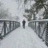 AidanKoch - @aidankoch - TikTok