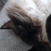 aidanmarkey836 - @aidanm42100 - TikTok