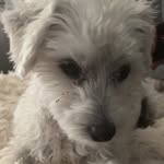Aidan - @aidan_mcclain_ - Instagram