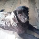 Aidan Mcclain - @aidanmcclain3 - Instagram