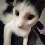 Ayden McDowell - Facebook