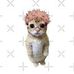 Aaden Mcnabb - Facebook
