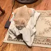Aidan McNabb981 - @follow_all_lgbt - TikTok