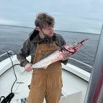 Aidan - @aidanmcnally - Instagram
