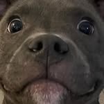 Aidan mcneill - @mcneill_aidan - Instagram