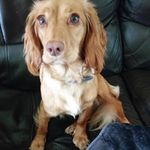 Aidan Meadows - @aidanmeadows3 - Instagram