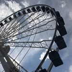 Aidan Melone - @aidan_melone - Instagram
