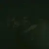 aiden merry 22 - @aidenmerry - TikTok