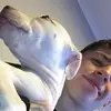 Aidan Millar - @aidanmillar463 - TikTok