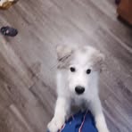 Aidan Miranda - Facebook