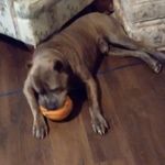 Aidan James monroe - @aidanjamesmonroe - Instagram