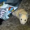 Aidan Moriarty - @aidan.moriarty53 - TikTok