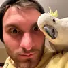aidanmorris - @aidanmorris - TikTok
