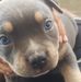 Aidan Morrison - Facebook