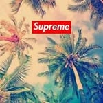 Aidan Morse - @aidan.morse.18 - Instagram
