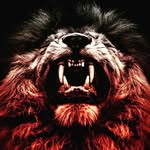 aidan morton - @aidanmorton01 - Instagram