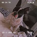 Aidan Pimp Morton - @aidan_the_pimp - Instagram