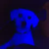 Aiden moses - @aiden._.moses - TikTok
