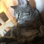 aidan mosley - @aidan__mosley - Instagram