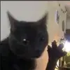 aidanmosley8 - @aidanmosley8 - TikTok