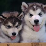 AIDAN_MUELLER11 - @aidan_mueller11 - Instagram