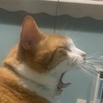 Aidan Nash - @surreal_nvt - Instagram