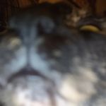 Aidan Nash - @hamburger_helpe37 - Instagram